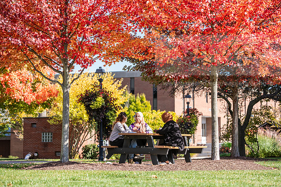 FallCampusLife1024AWB_5912