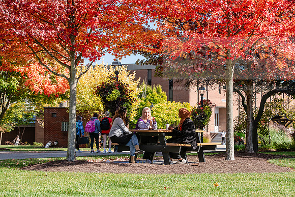 FallCampusLife1024AWB_5837