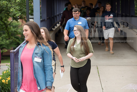 Orientation Number 2