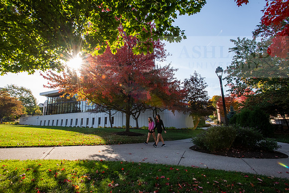 FallCampusLife1024AWB_5161