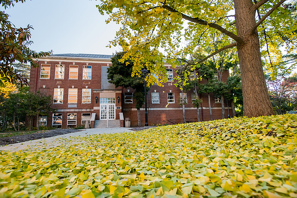 FallCampus1121ALW_3031