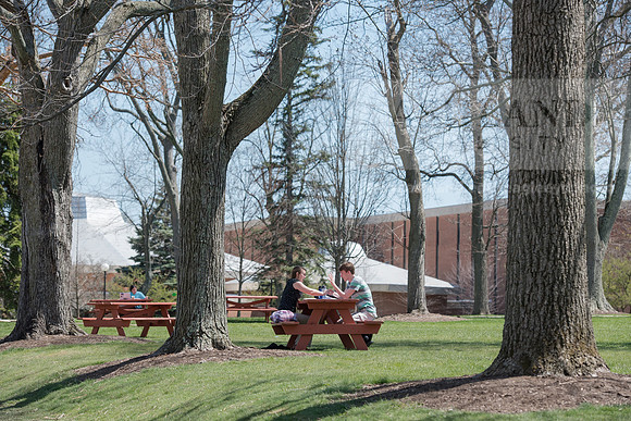 Spring Campus