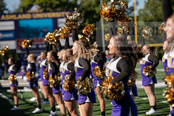 AUvDavenportFootball1019ALW_7452