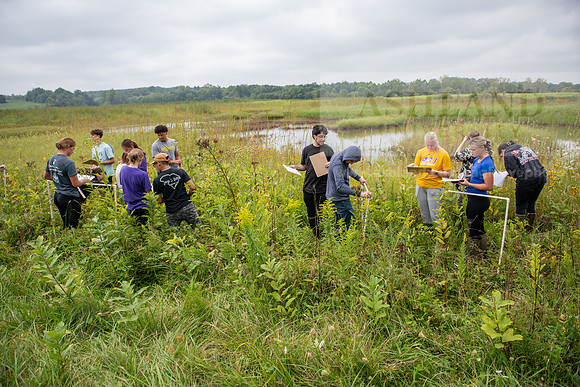 Biology_Saunders_BlackFork_Milkweed0923AWB_3603
