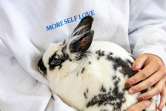DestresswithAnimals0424MC__1283