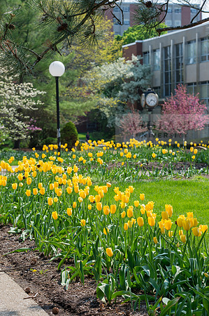SpringCampus0515ALW_3451