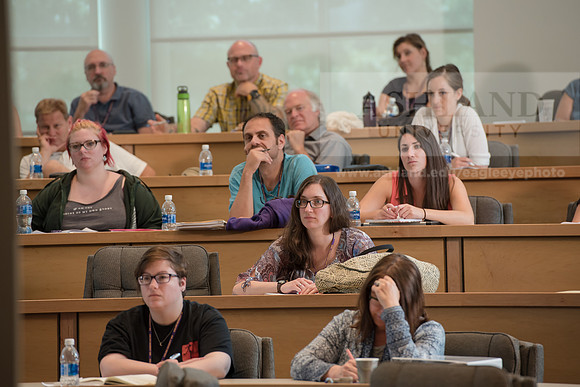 Master of Fine Arts
