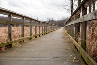Black Fork Wetlands