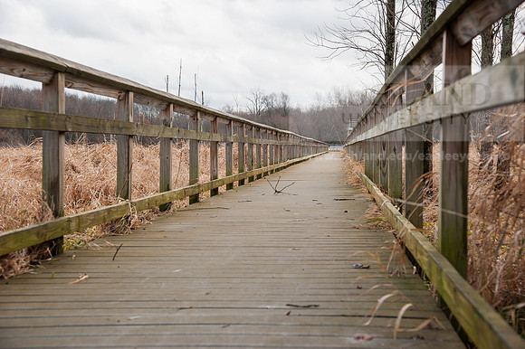 Black Fork Wetlands