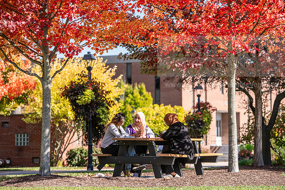 FallCampusLife1024AWB_5909