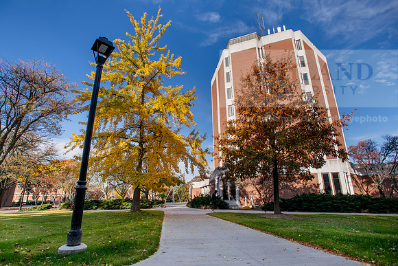 FallCampusLife1022ALW_0672