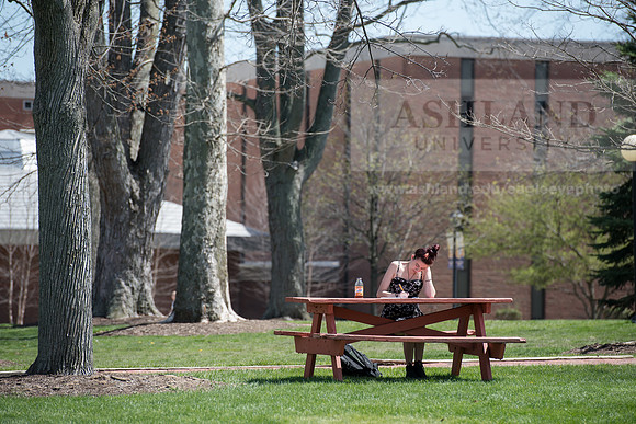 Spring Campus