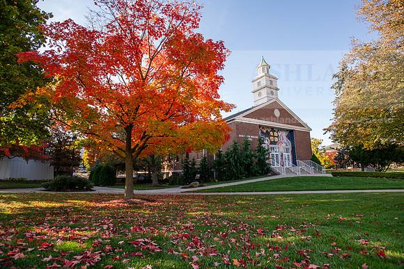FallCampusLife1024AWB_5048