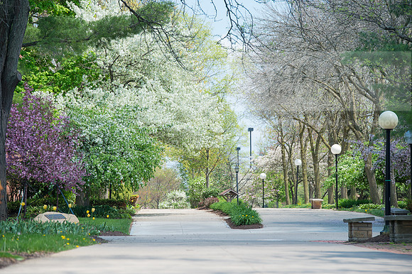 SpringCampus0515ALW_3839