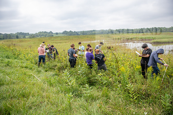 Biology_Saunders_BlackFork_Milkweed0923AWB_3602