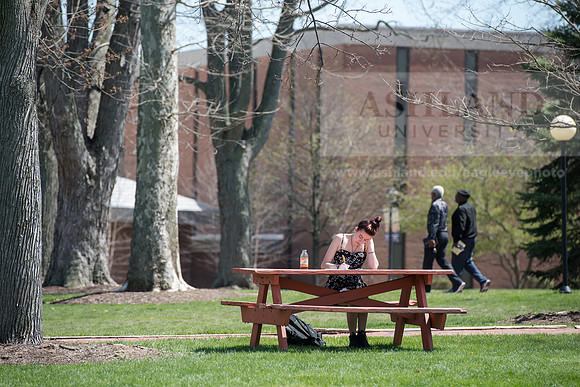 Spring Campus
