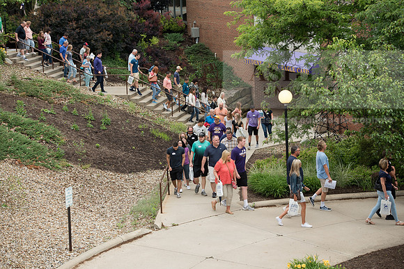 Orientation Number 2