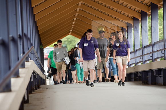 Orientation Number 2