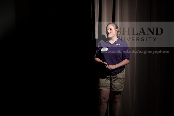 Orientation Number 2