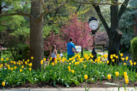 SpringCampus0515ALW_3464