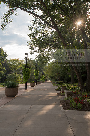Avenue of the Eagles