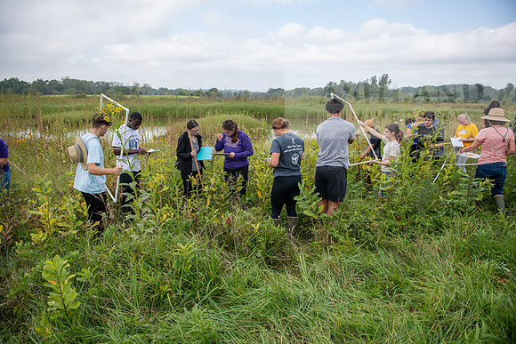 Biology_Saunders_BlackFork_Milkweed0923AWB_3566