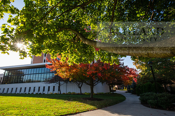 FallCampusLife1024AWB_5186
