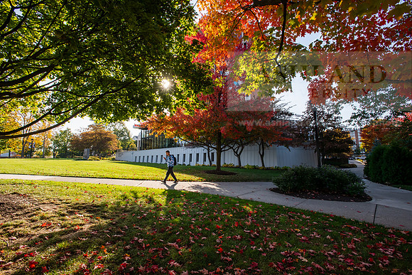 FallCampusLife1024AWB_5066