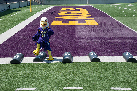 Tuffy Preparing for Marathon