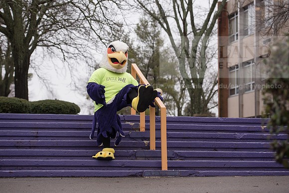 Tuffy - Campus Wellness Program