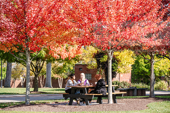 FallCampusLife1024AWB_5951