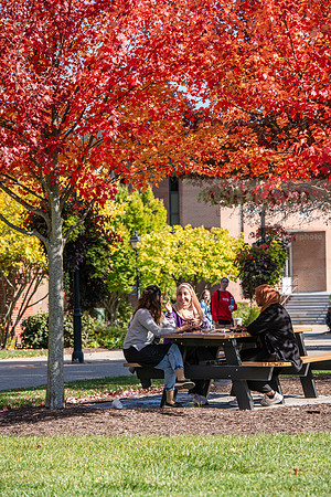 FallCampusLife1024AWB_5859