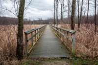 Black Fork Wetlands