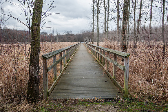 Black Fork Wetlands