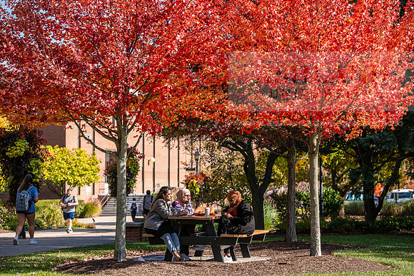 FallCampusLife1024AWB_5787