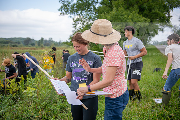 Biology_Saunders_BlackFork_Milkweed0923AWB_3554