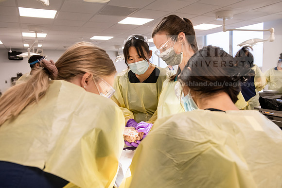 PAProgramCadaverLab1221ALW_3630