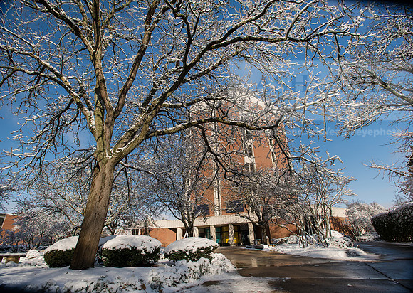 CampusSnow1119ALW_9963