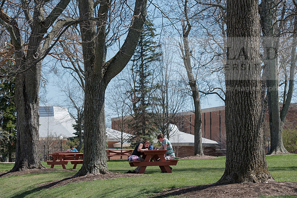 Spring Campus