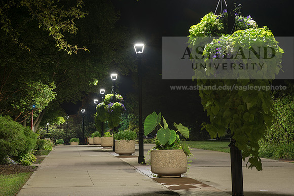 Avenue of the Eagles