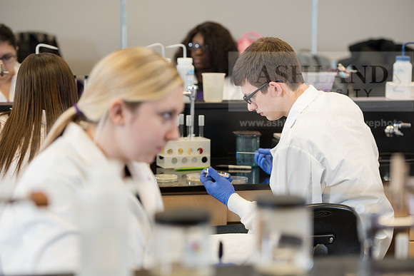 Microbiology Class - Dr. Paul Hyman