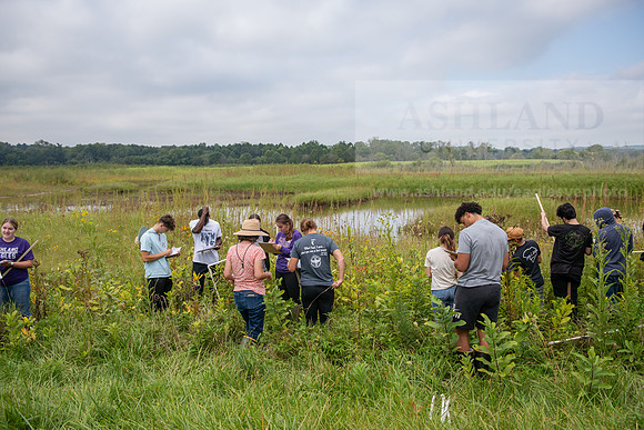 Biology_Saunders_BlackFork_Milkweed0923AWB_3493