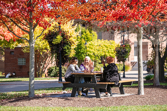 FallCampusLife1024AWB_5900
