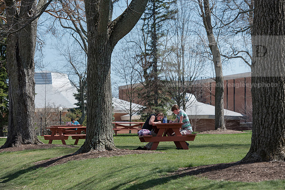 Spring Campus