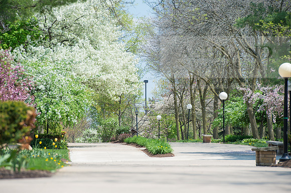 SpringCampus0515ALW_3826