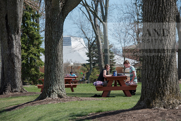 Spring Campus