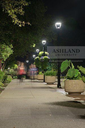 Avenue of the Eagles