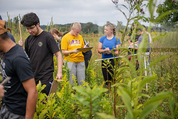 Biology_Saunders_BlackFork_Milkweed0923AWB_3614