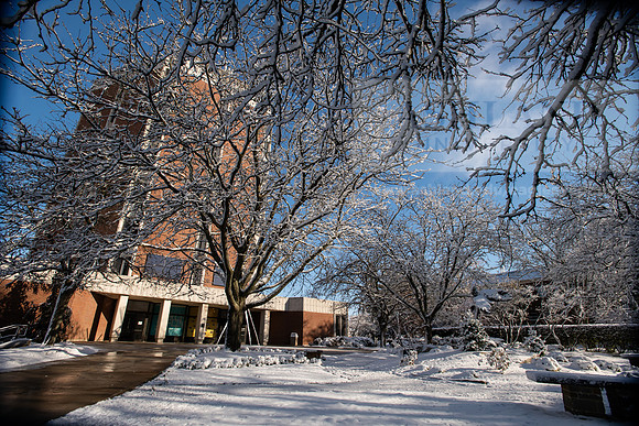 CampusSnow1119ALW_9895