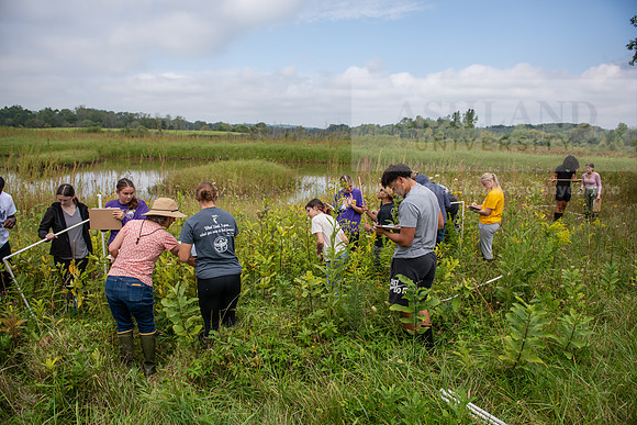 Biology_Saunders_BlackFork_Milkweed0923AWB_3499
